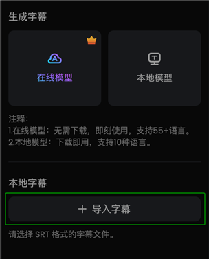 导入 SRT 字幕文件