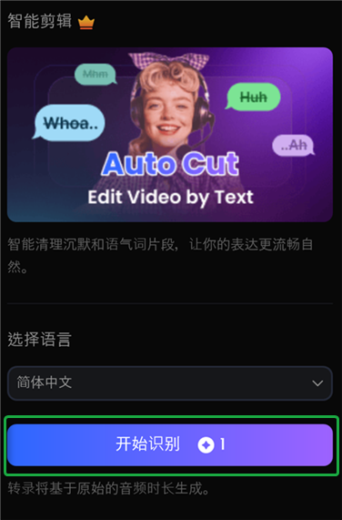 点击开始识别